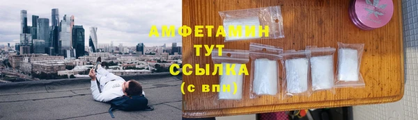 прущие грибы Богородск