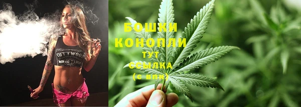 прущие грибы Богородск