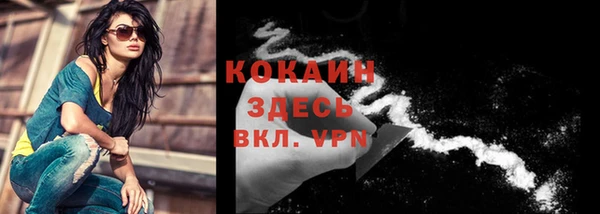 ПСИЛОЦИБИНОВЫЕ ГРИБЫ Арсеньев