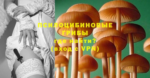 Альфа ПВП Богородицк