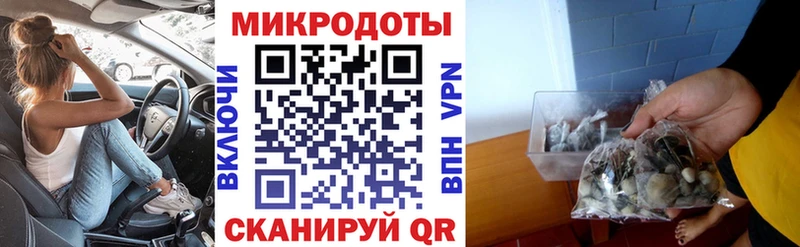 Галлюциногенные грибы прущие грибы  Верхняя Салда 
